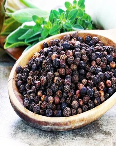 Black Pepper