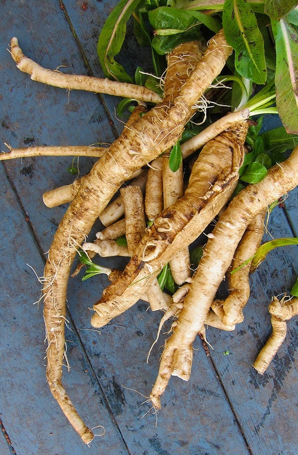 Prebiotic Chicory Root Fiber